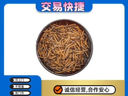 凉山州西昌回收散虫草