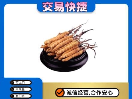 凉山州西昌礼品回收散虫草.jpg